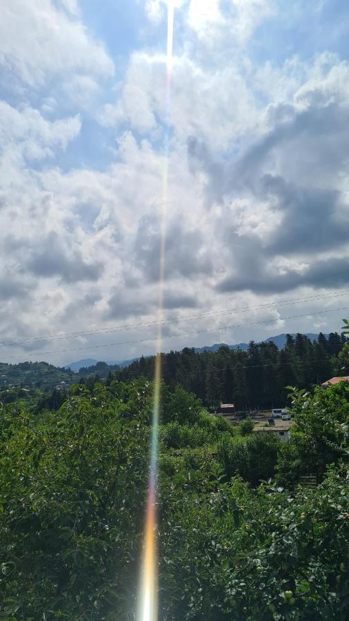 Gios Guest House Czakwi Zewnętrze zdjęcie